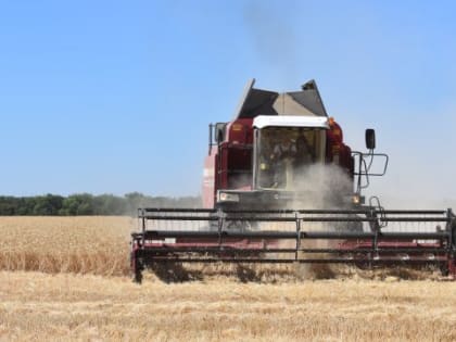 В Константиновском районе подведены итоги уборки ранних зерновых культур