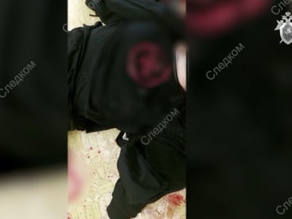 Стрельба в школе в Удмуртии: погибли 17 человек, более 20 пострадали