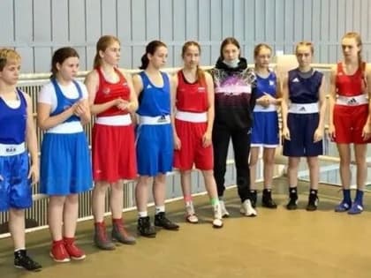 Четыре волгодонские спортсменки победили в первенстве Дона по боксу