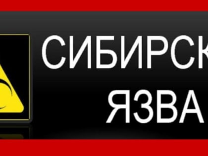 В связи с обнаружением сибирской язвы в Воронежской области жителей Сальского района призывают к бдительности