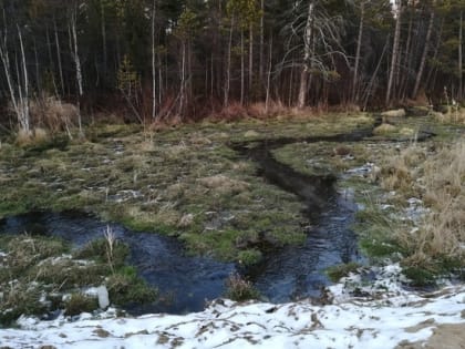 Народные приметы на 18 октября 2022 года: что нельзя делать в день Харитины