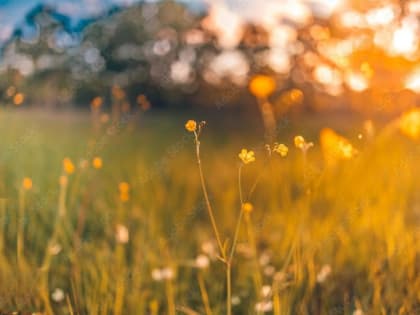 Народные приметы на 22 октября