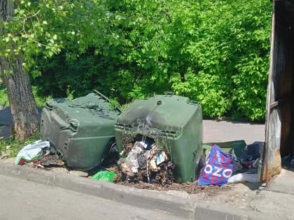 Пироман массово поджигает мусорные баки на Сельмаше в Ростове-на-Дону