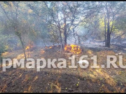 Гуманитарная помощь в Зернограде