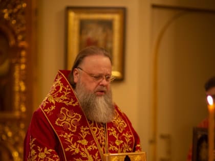 Глава Донской митрополии совершил Божественную литургию в Ростовском кафедральном соборе в день памяти св. вмч. Димитрия Солунского