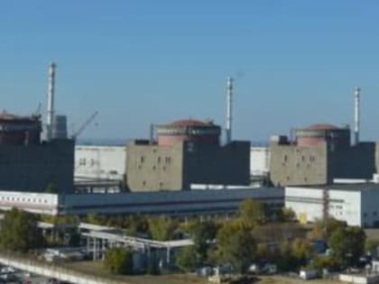 Ученые не выявили влияния Ростовской АЭС на экологию