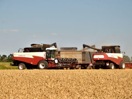 На Дону ранние зерновые обмолочены почти на 70% уборочных площадей