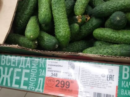 В Ростове появились помидоры и огурцы “от смерти”