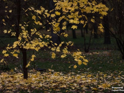 Погода в Таганроге 15 октября: тихий, теплый день