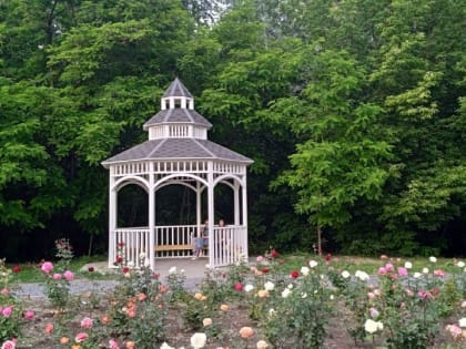 Погода в Таганроге 31 мая: магнитная буря, жарко, днем возможен дождь