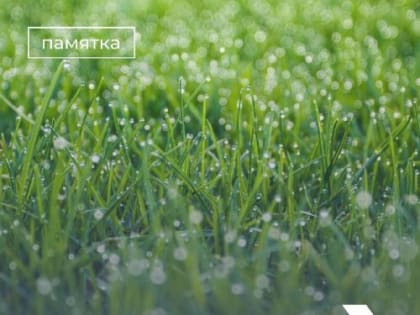 Уважаемые устьдончане.