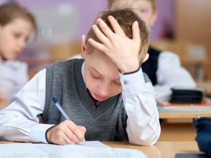 Школьники Волгодонска начали писать Всероссийские проверочные работы