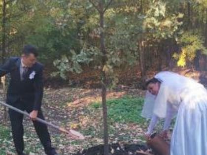 В роще «Дубки» решали экологические задачи и высаживали молодые дубы