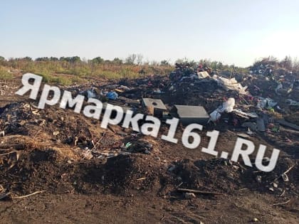 Опасная свалка рядом с кладбищем в Миллерово