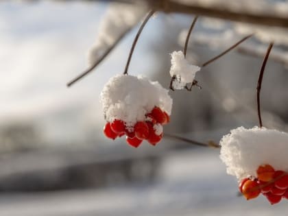 Народные приметы на 25 ноября 2022 года: что нельзя делать в день Ивана Милостивого