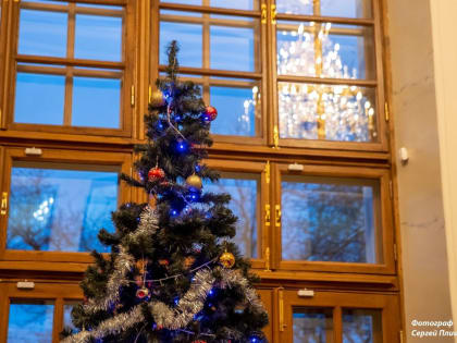 Депутат Госдумы поздравил таганрожцев с Новым годом