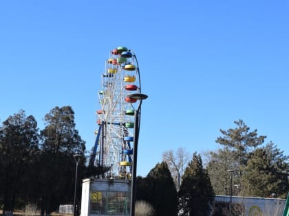 Подрядчик приступил к планированию работ по реконструкции городского парка в Сальске