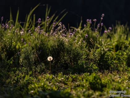 Погода в Таганроге 22 июня: солнечно и нежарко