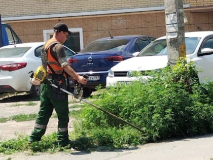 В Таганроге за неделю скосили траву на 100 тыс. кв. метров территории