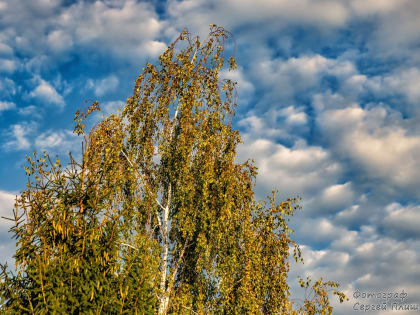 Погода в Таганроге 3 сентября: облачно, +30°, без осадков