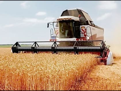 Ростовская область вновь подтвердила статус главного зернового региона России