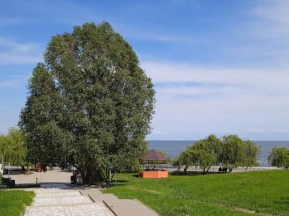 Погода в Таганроге 7 августа: +35°, малооблачно, без осадков