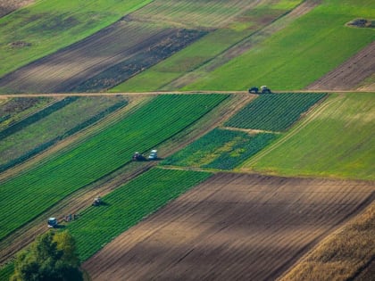 На Дону сельхозпроизводство показало рост на 14% в 2022 году