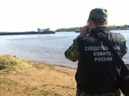 Житель г. Сальска признан судом виновным в убийстве женщины