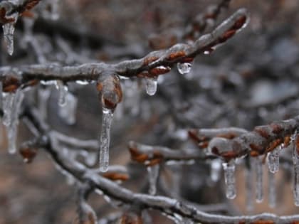 Народные приметы на 15 ноября 2022 года: чего нельзя делать в Житницу