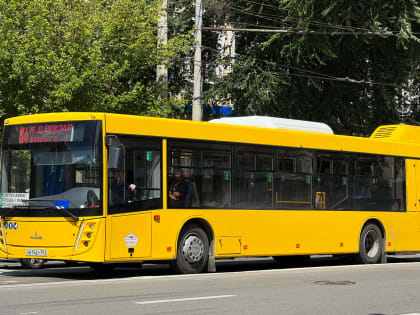 В Ростове с 1 августа изменят число маршрутов и автобусов