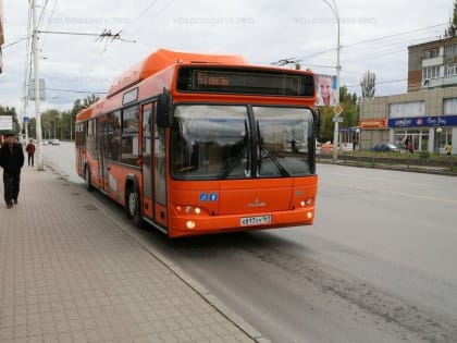 Общественники Волгодонска получили ответы на вопросы о реформе транспорта