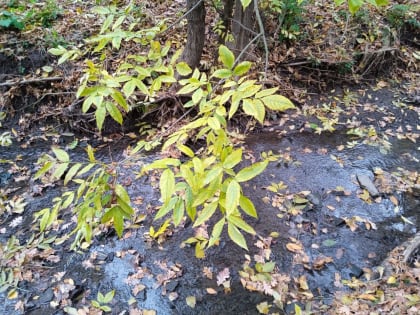 Погода в Таганроге 26 октября: понадобится зонтик