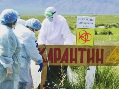 В Ставропольском крае обнаружена сибирская язва
