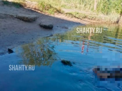 Смертельные происшествия в водоемах Ростова-на-Дону