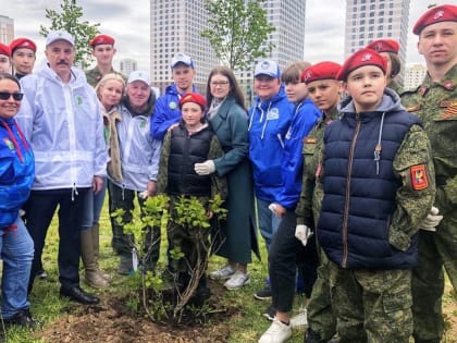 Сторонники «Единой России» высадили более 100 тысяч деревьев в память о погибших Героях