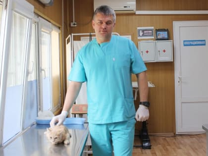 29 сентября — день льготной стерилизации животных