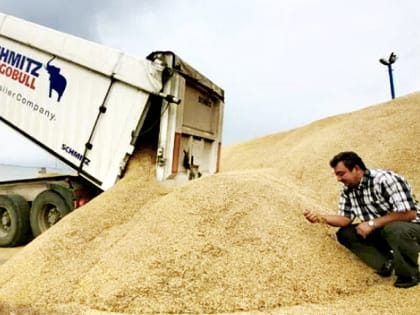 Почему богатый урожай не может прокормить фермеров