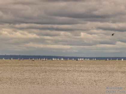 Погода в Таганроге 22 мая: обещают кратковременный дождь