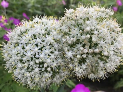 После передышки в Шахты вернется жара