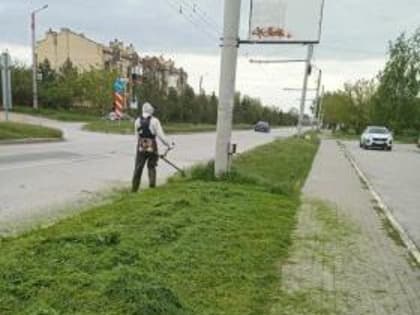 В Таганроге продолжается покос травы