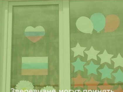 Всероссийская акция «Окна России» в Звереве