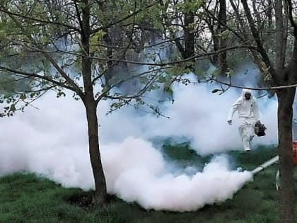 В Ростове проводится противоклещевая обработка городских территорий