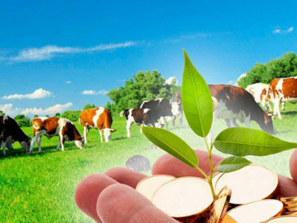 Объявление о проведении отбора с 12.05.2022 по 22.05.2022 для предоставления субсидии сельскохозяйственным товаропроизводителям