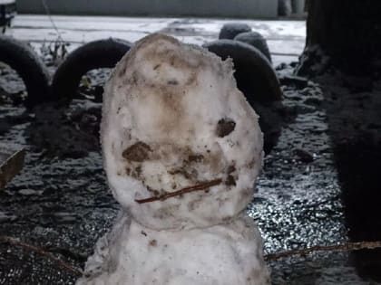 Радовались, как дети: жители Таганрога лепили снеговиков