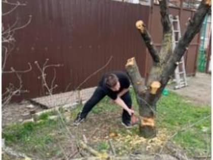 Волонтеры Общероссийской акции взаимопомощи #МыВместе   продолжают свою работу