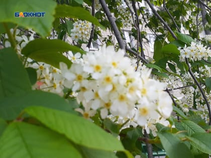 Сильный ветер и дождь обещают синоптики шахтинцам в четверг