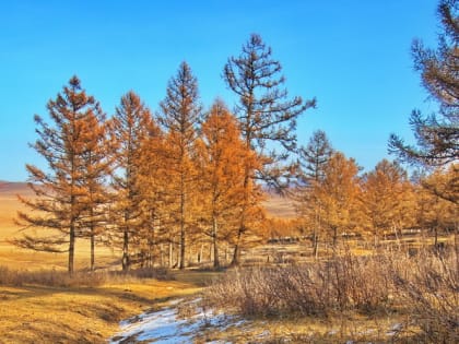 28 ноября-ГУРЬЕВ ДЕНЬ: почему в этот день нельзя ссориться