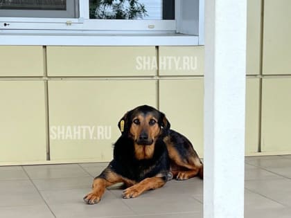 Изменен график работы детской поликлиники в г. Шахты