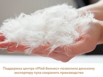 Поддержка центра «Мой бизнес» позволила донскому экспортеру пуха сохранить производство