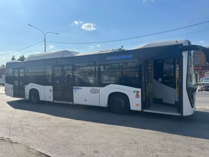 Обсуждение работы общественного транспорта в Новочеркасске